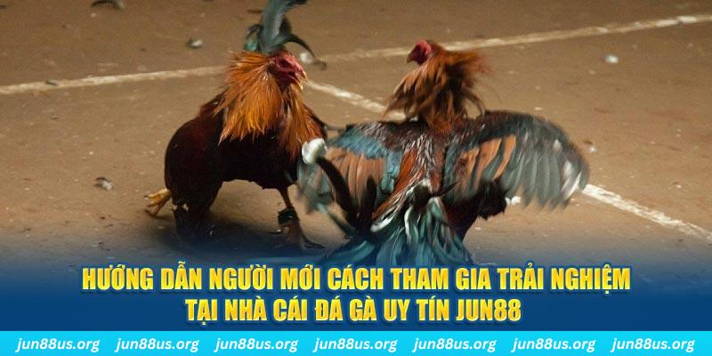 188cm CQ9 Điện Tử