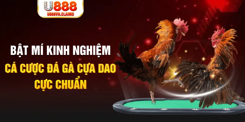 188cm tỷ lệ cá cược châu á là gì