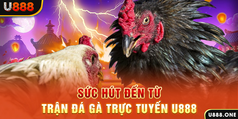 188cm nổ hũ b29 là gì