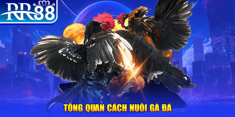188cm VA Điện Tử