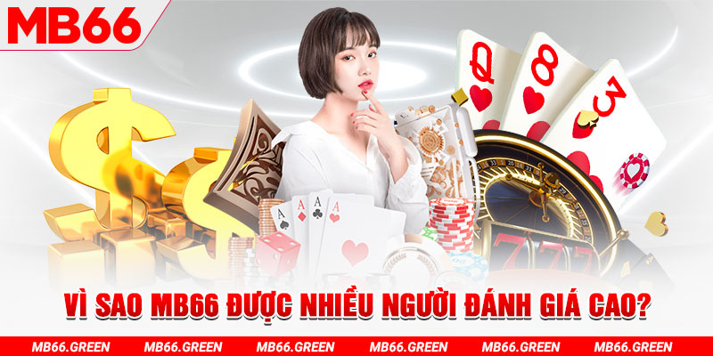 188cm đá gà