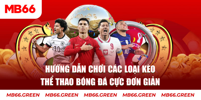 188cm đăng nhập phỏm rút tiền nhanh