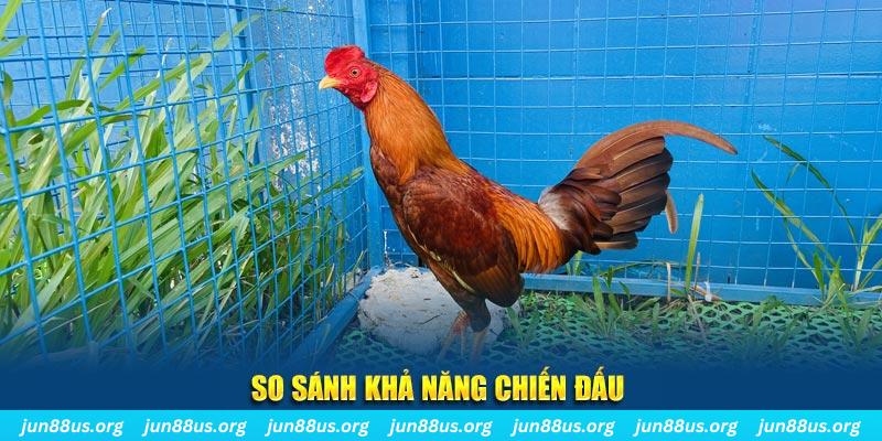 188cm tai game dau bai yugioh cho may tinh
