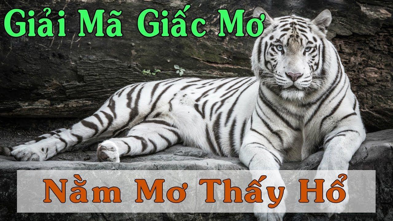 188cm xổ số 3 miền