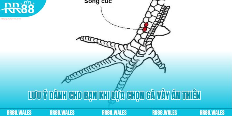 188cm xổ số đồng nai