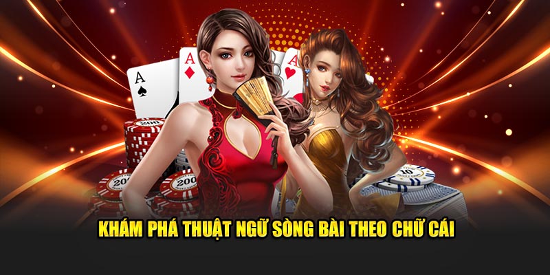 188cm máy tính casino