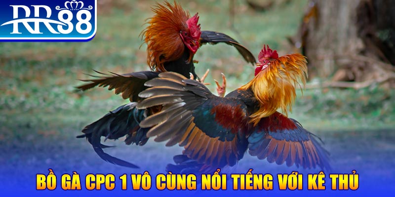 188cm game máy bay nổ hũ