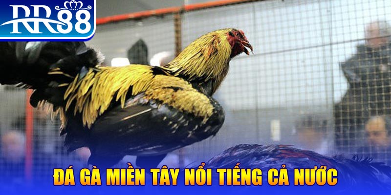 188cm JILI Game Bài 3d