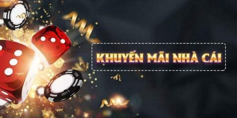 188cm what is live dealer casino