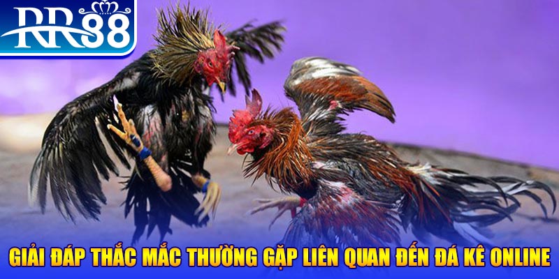 188cm xổ số đà lạt