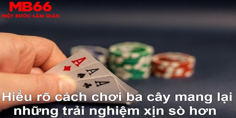 188cm xổ số đài bắc