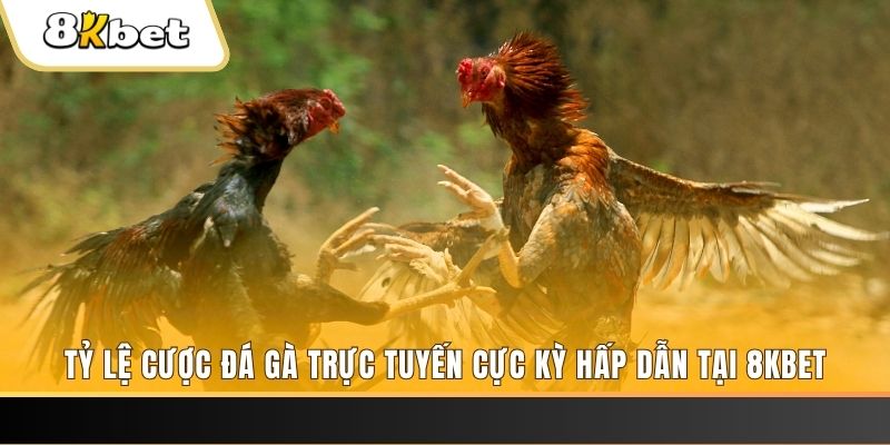 188cm đăng nhập phỏm trực tiếp