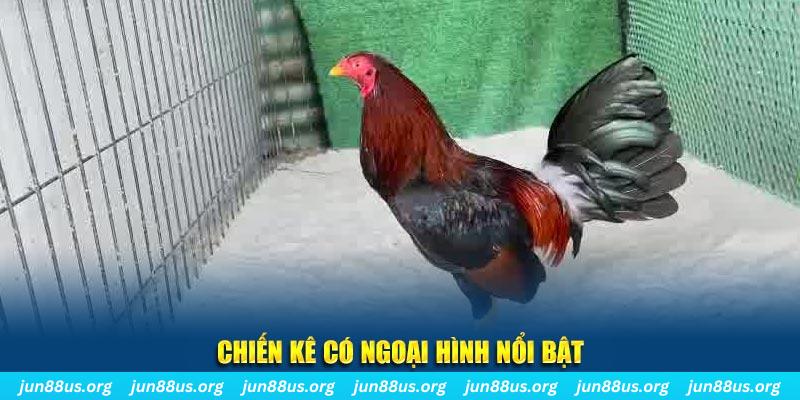 188cm chạy quảng cáo cho game bài bị phạt như thế nào