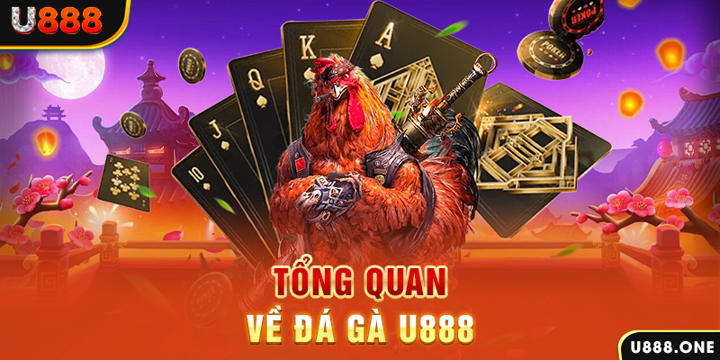 188cm ILOVEU Điện Tử