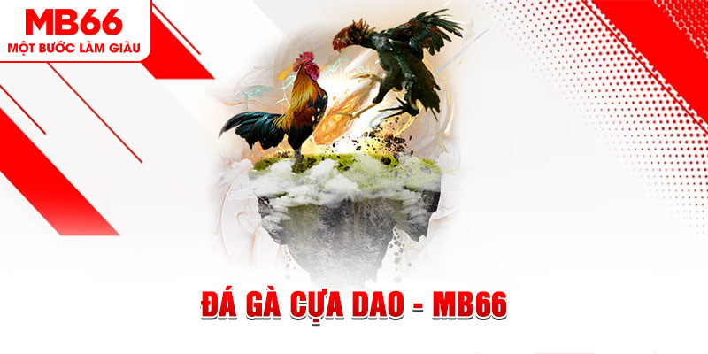 188cm đá gà sv388 gold